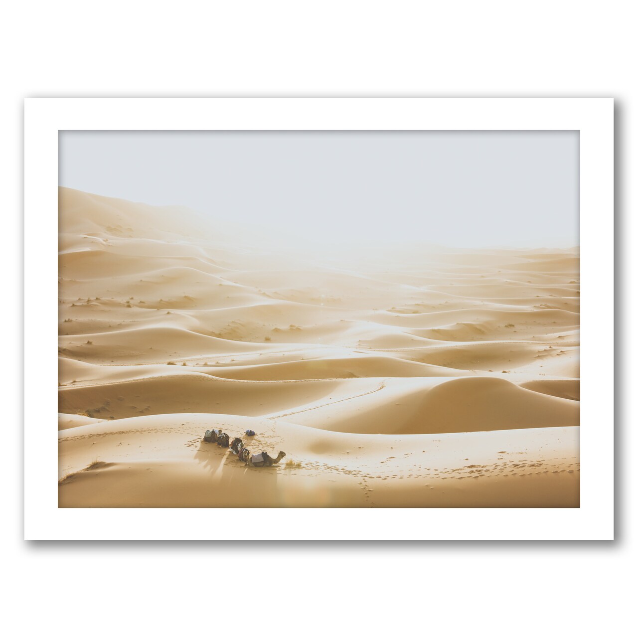 Sahara Desert by Luke Gram Frame  - Americanflat